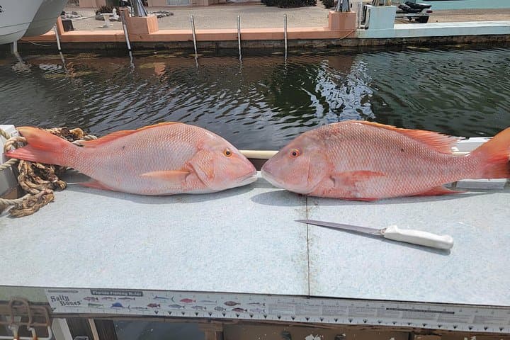 Marathon Florida Keys Fishing Experience — Family-Friendly Charter in Marathon Key photo 2
