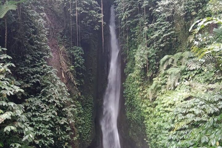 From Leke-Leke Falls to Jatiluwih: Private Bali Highland Tour