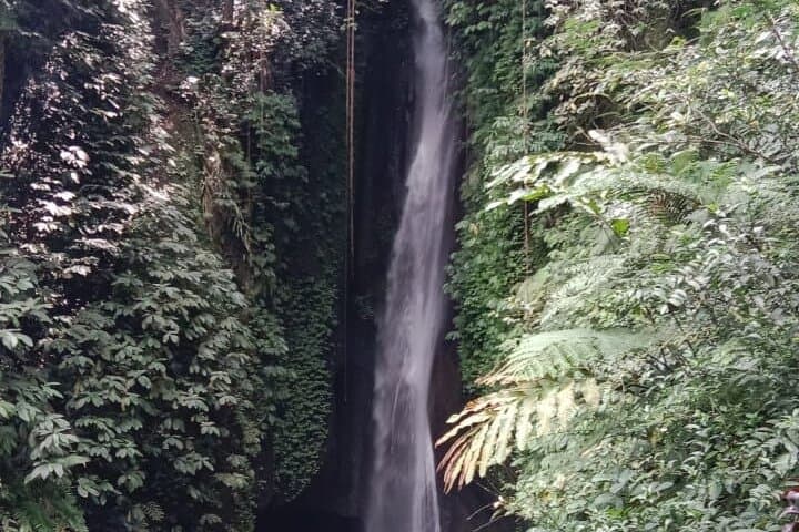 From Leke-Leke Falls to Jatiluwih: Private Bali Highland Tour photo 4