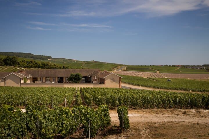 Full-Day Champagne Tasting Tour from Paris — Reims, Hautvillers & Cellar Visits photo 3