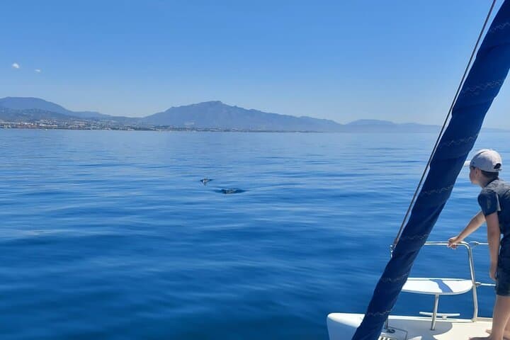 Estepona Catamaran Dolphin Trip – 2-Hour Sea Swim & Sunset Views photo 4