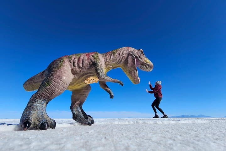 Uyuni Salt Flats 3-Day Tour — Salar de Uyuni, Colored Lagoons & Geysers photo 3