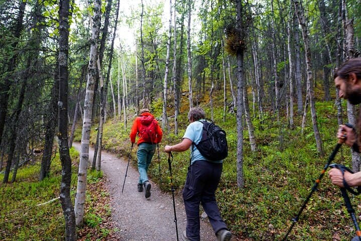 Denali Park Nature Walk: 3-Hour Naturalist Guided Hike photo 2