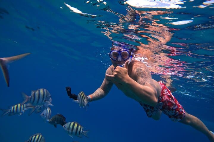 Sosua-to-Puerto-Plata Catamaran: 3-Spot Snorkel, Lunch & Drinks photo 4