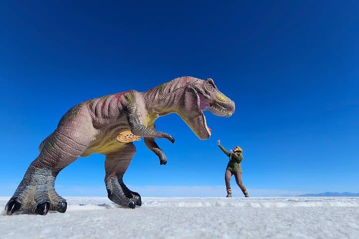 Uyuni Salt Flats Full-Day Tour and Overnight Bus to La Paz photo 5