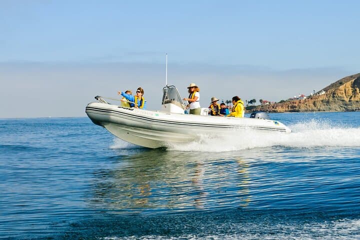 San Diego Zodiac Whale & Dolphin Watching — Small-Group Mission Bay Cruise photo 2