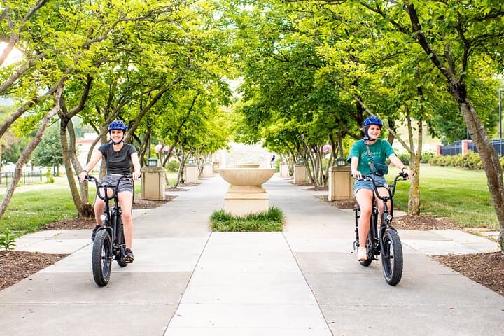 Smith Mountain Lake Weekly E-Bike Rental with Delivery — Explore Moneta & Lake Trails