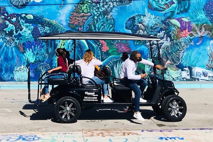 Wynwood Brewery Golf Cart Tour: Mural-Filled Beer Crawl in Miami photo 2