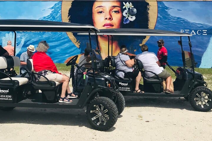 Wynwood Brewery Golf Cart Tour: Mural-Filled Beer Crawl in Miami photo 1