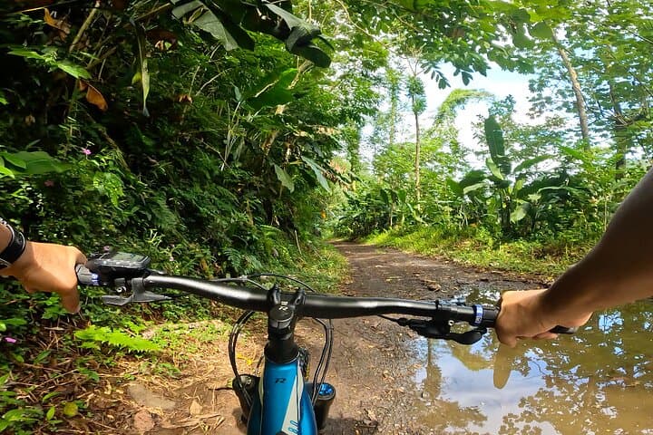 Tahiti Valley E-MTB Circuit — Private Full-Day MTB & Swim Adventure in Teva‑i‑Uta photo 5