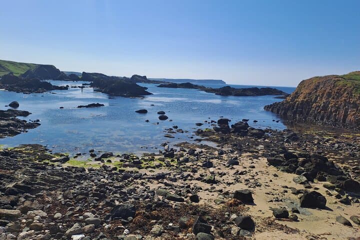 Giants Causeway Private Full-Day Tour: Dunluce, Carrick-a-Rede & Dark Hedges photo 6