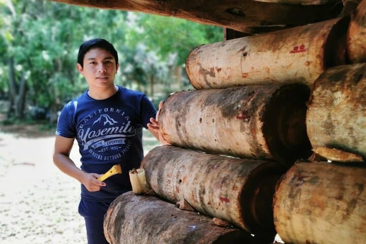 Protect a Bee: Full-Day Bee Matters Melipona Experience from Mérida