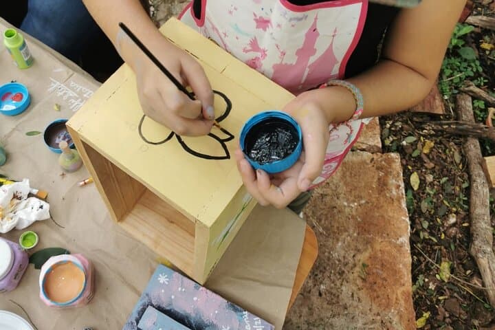 Protect a Bee: Full-Day Bee Matters Melipona Experience from Mérida photo 2