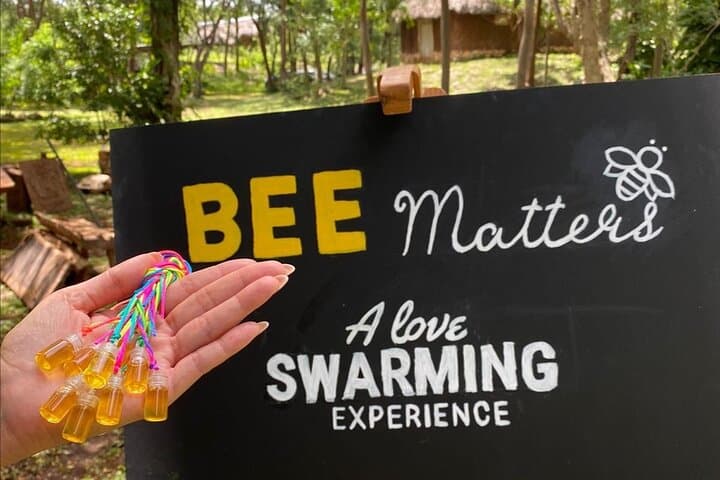 Protect a Bee: Full-Day Bee Matters Melipona Experience from Mérida photo 5