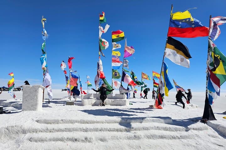 Uyuni Salt Flats & Hedionda Lagoon: 2-Day Private Flamingo Tour photo 4