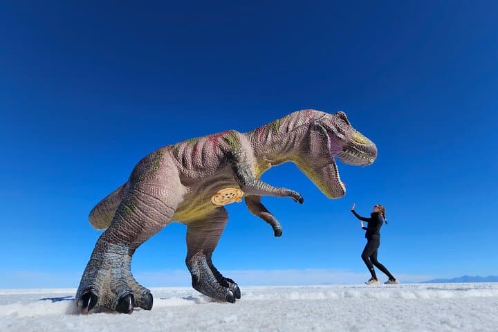 Uyuni Salt Flats & Hedionda Lagoon: 2-Day Private Flamingo Tour photo 5