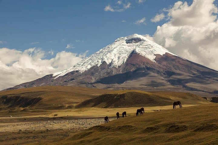 Cotopaxi Day Tour: Limpiopungo Lagoon & José Rivas Refuge from Quito