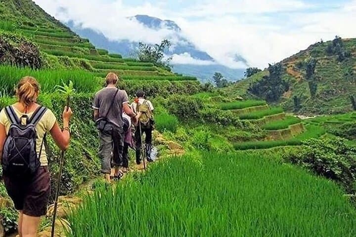 Sapa 2-Day Trek from Hanoi: Homestay, Local Guide & Rice Terrace Walks photo 1