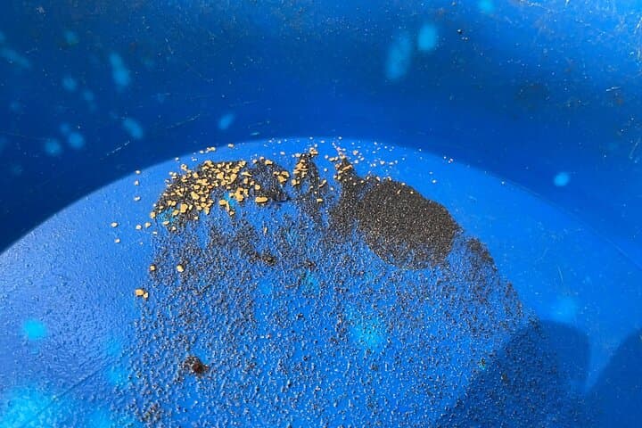 Gold Panning at Mission Creek: Kelowna’s Hands-On Gold Rush Experience