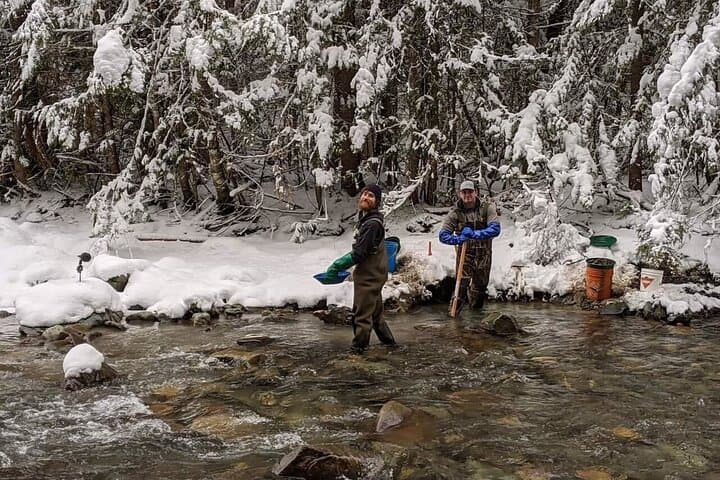 Gold Panning at Mission Creek: Kelowna’s Hands-On Gold Rush Experience photo 4