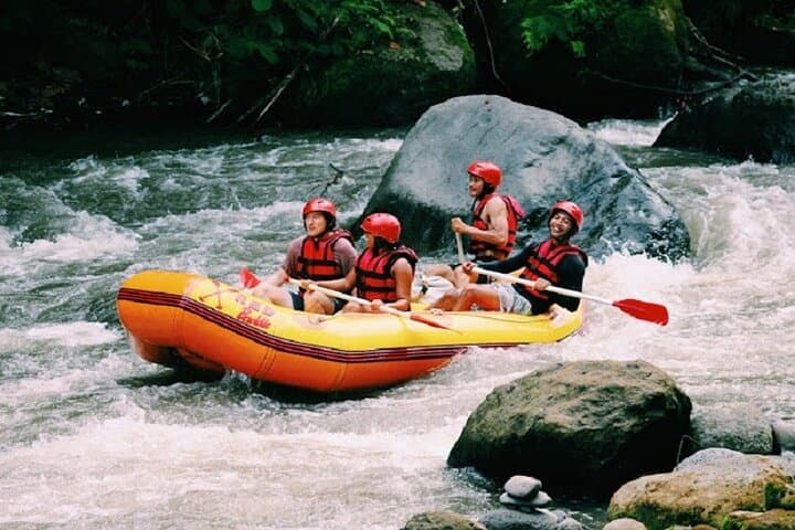 Ubud Ayung River White-Water Rafting — 2–3 Hour Class II–III River Run photo 3