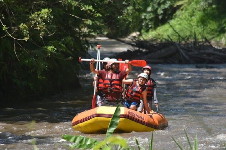 Ubud Ayung River White-Water Rafting — 2–3 Hour Class II–III River Run photo 4