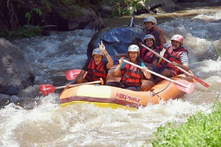 Ubud Ayung River White-Water Rafting — 2–3 Hour Class II–III River Run