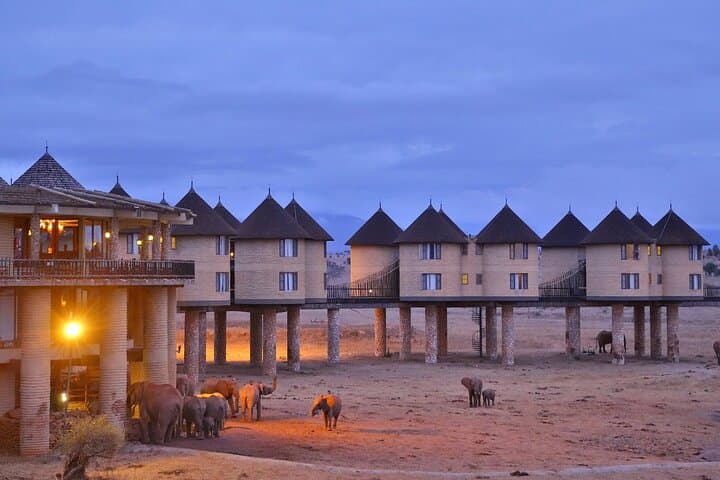 3-Day Luxury Safari at Salt Lick: Taita Hills Wildlife Experience photo 1