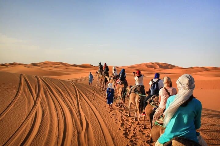 Marrakech to the Sahara: 7-Night Tour with Aït Benhaddou and Camel Trek photo 1
