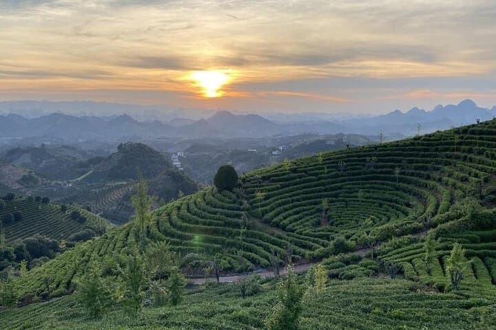 Yangshuo Half-Day: Seven Fairies Tea Plantation & Xianggong Hill Panorama photo 4
