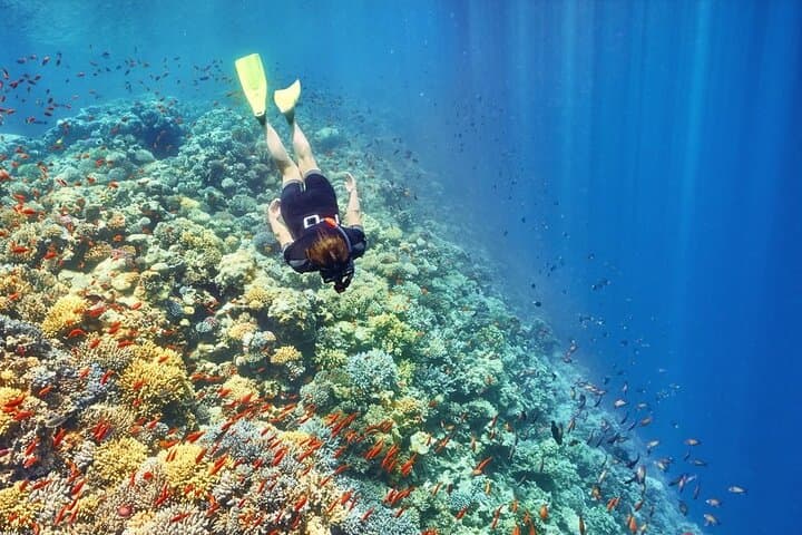 Giftun Island Full-Day Snorkeling from Hurghada — Red Sea Reefs & Beaches