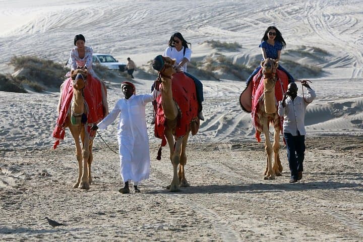 Full-Day Qatar Desert Safari: Dune Bashing, Sandboarding & Inland Sea Day Pass photo 2