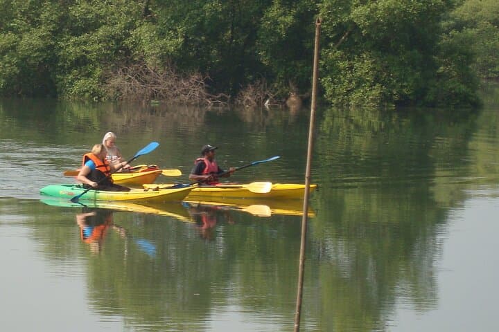 Spike's Salonia Backwaters Kayak Tour — North Goa Mangrove Paddle & Birdwatching photo 2