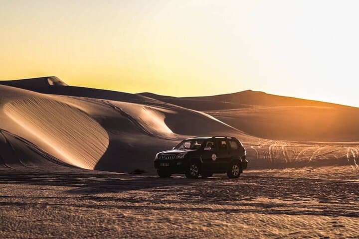 Cape Town Sand Dune Safari: Half-Day Land Cruiser Adventure