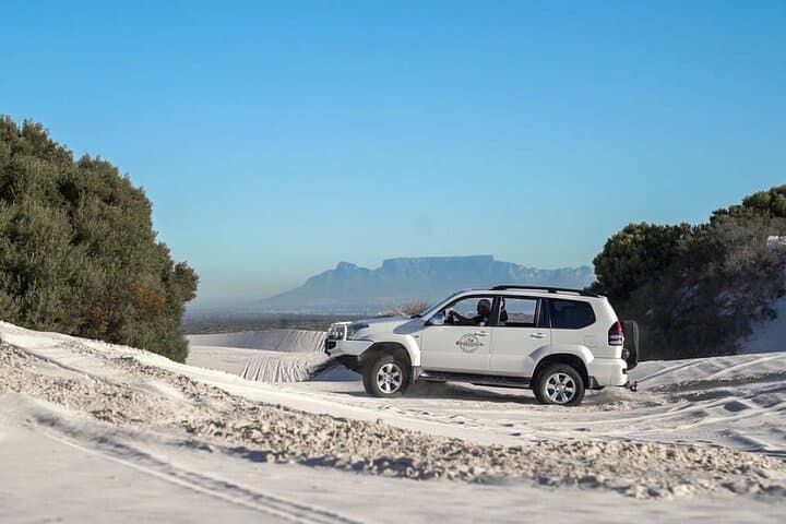 Cape Town Sand Dune Safari: Half-Day Land Cruiser Adventure photo 2