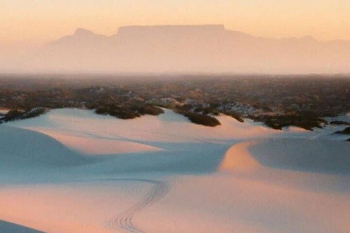 Cape Town Sand Dune Safari: Half-Day Land Cruiser Adventure photo 3