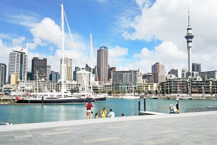Private Auckland 4-Hour City Tour — Mission Bay, Devonport & Cornwall Park photo 3