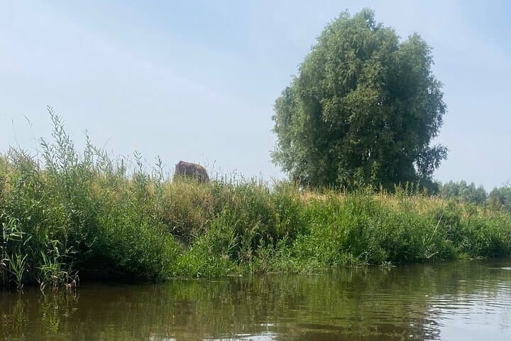 Guided Bike Tour of Noord-Holland Countryside: Windmills, Dunes & Polders photo 4