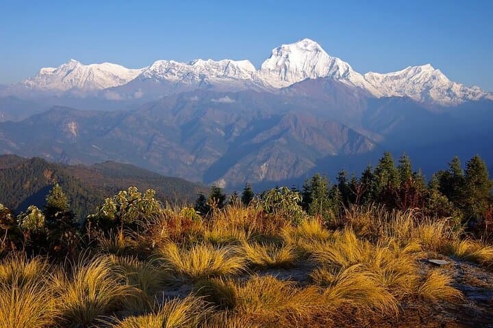 Poon Hill Sunrise Trek: 3-Day Ghorepani Short Trek from Pokhara photo 2