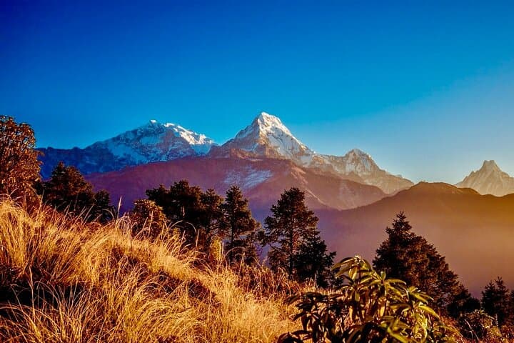 Poon Hill Sunrise Trek: 3-Day Ghorepani Short Trek from Pokhara photo 4