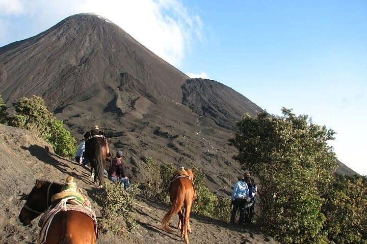 Hike Pacaya Volcano from Antigua — Active Volcano Day Hike with Lava Fields photo 5
