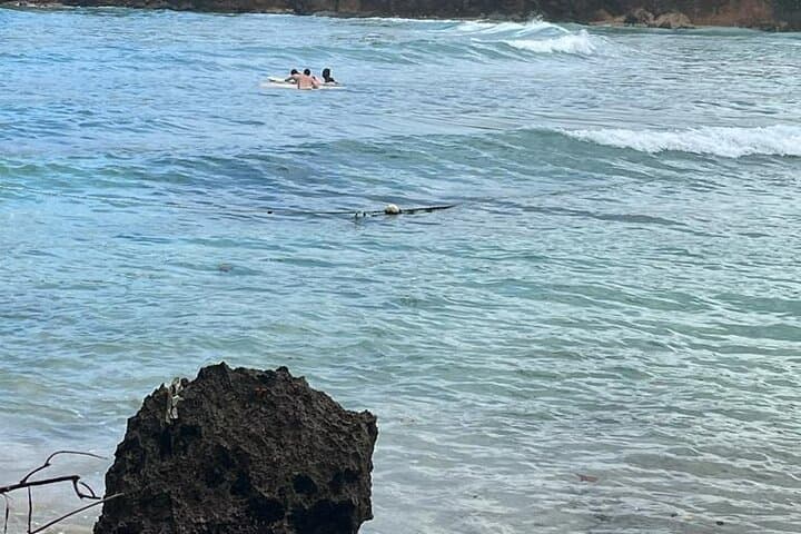 Surf Boston Bay and Motorized Canoe the Blue Lagoon — Private Tour from Ocho Rios photo 5