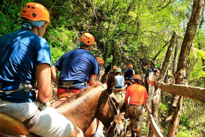 Puerto Vallarta Zip Line, Mule Ride & Jorullo Hanging Bridge Adventure photo 5