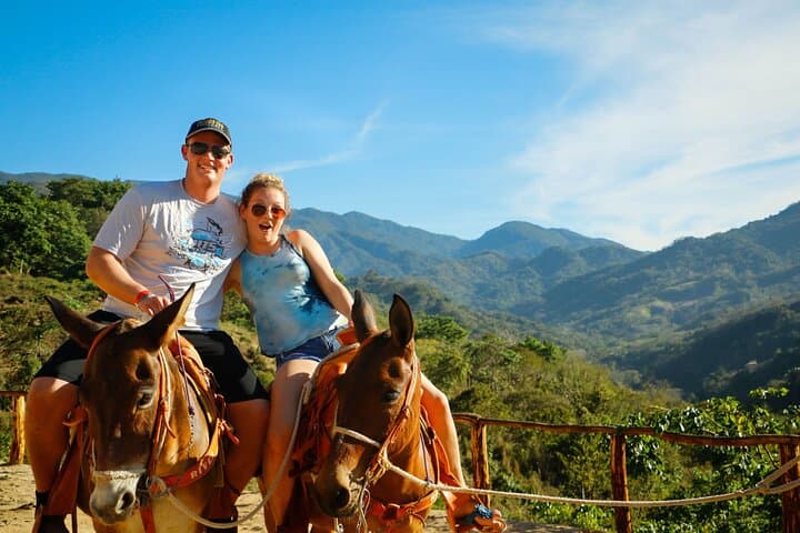 Puerto Vallarta Zip Line, Mule Ride & Jorullo Hanging Bridge Adventure photo 6