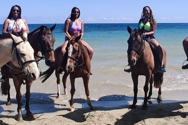 Bamboo Rafting and Beach Horseback Riding from Ocho Rios: A Private 3–4 Hour Excursion photo 6