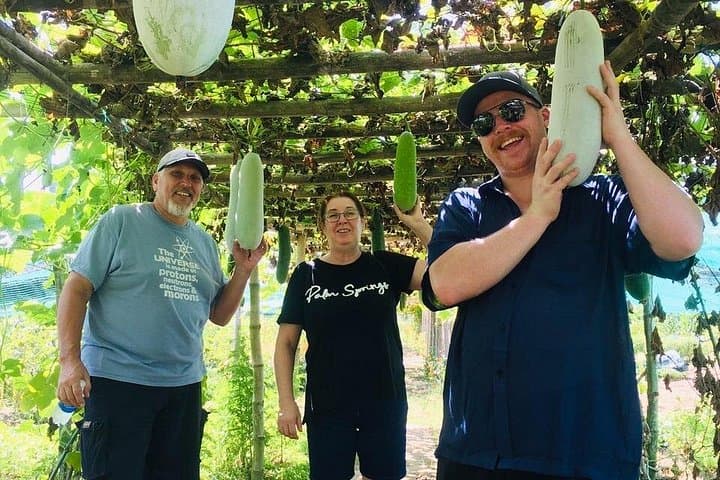Hoi An Local Market & Vegetable Village Cooking Class — Hands-On Vietnamese Cooking Experience photo 3