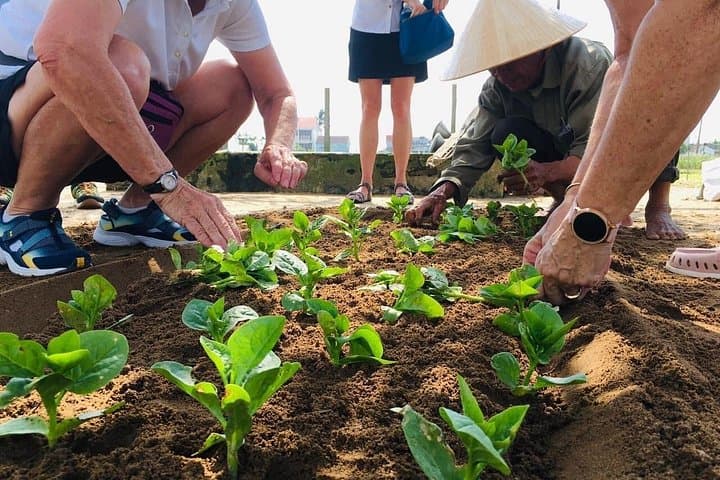 Hoi An Local Market & Vegetable Village Cooking Class — Hands-On Vietnamese Cooking Experience photo 2