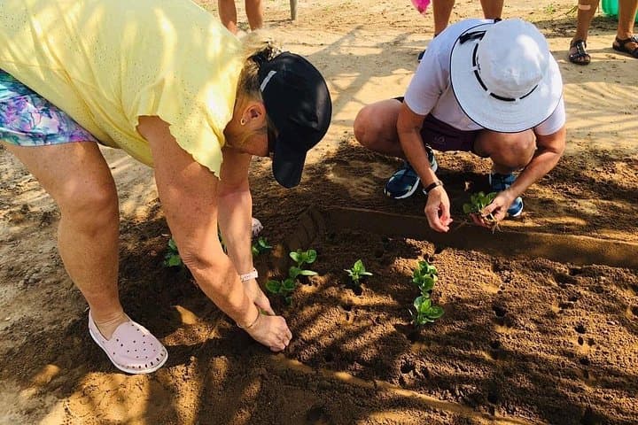 Hoi An Local Market & Vegetable Village Cooking Class — Hands-On Vietnamese Cooking Experience photo 4