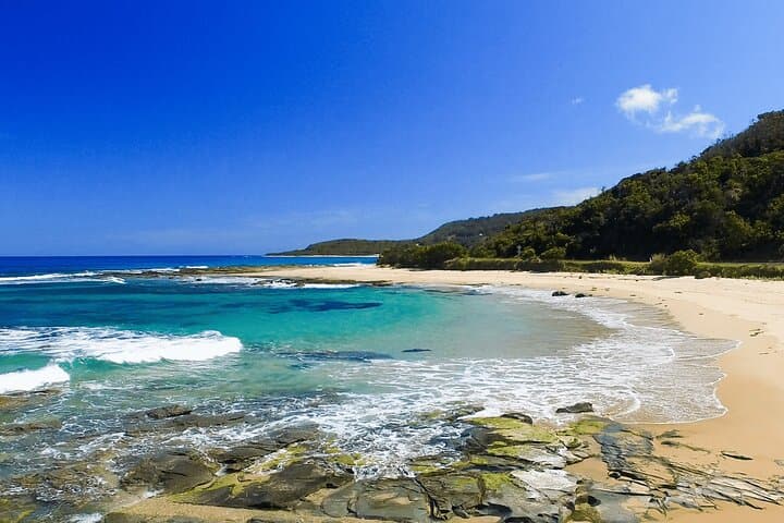 Great Ocean Road Day Tour from Melbourne — Twelve Apostles, Loch Ard Gorge & Apollo Bay photo 4