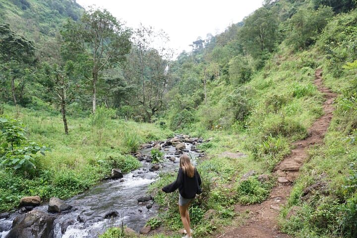 Materuni Waterfalls & Coffee Tour — Day Hike from Moshi photo 3